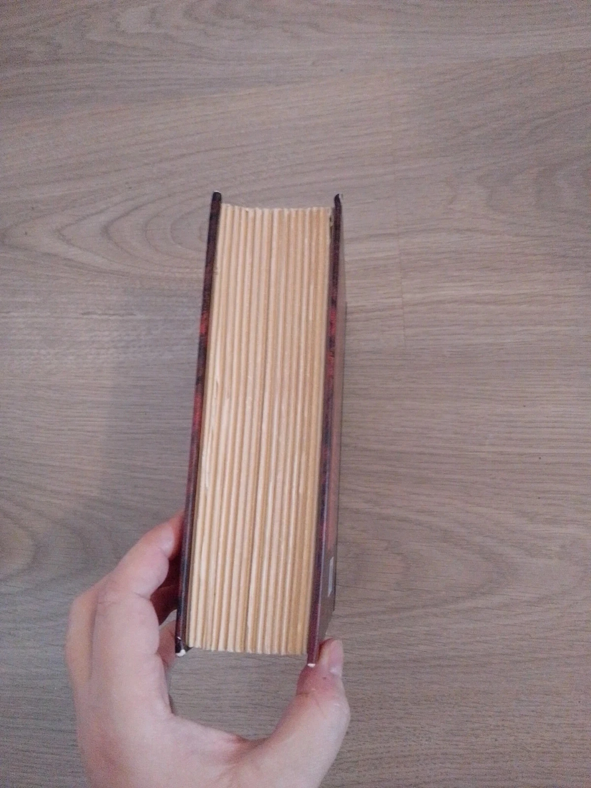 Le grand et le petit Albert , livre rare – photo 2